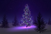 christmas-tree