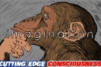 barnet_imagination
